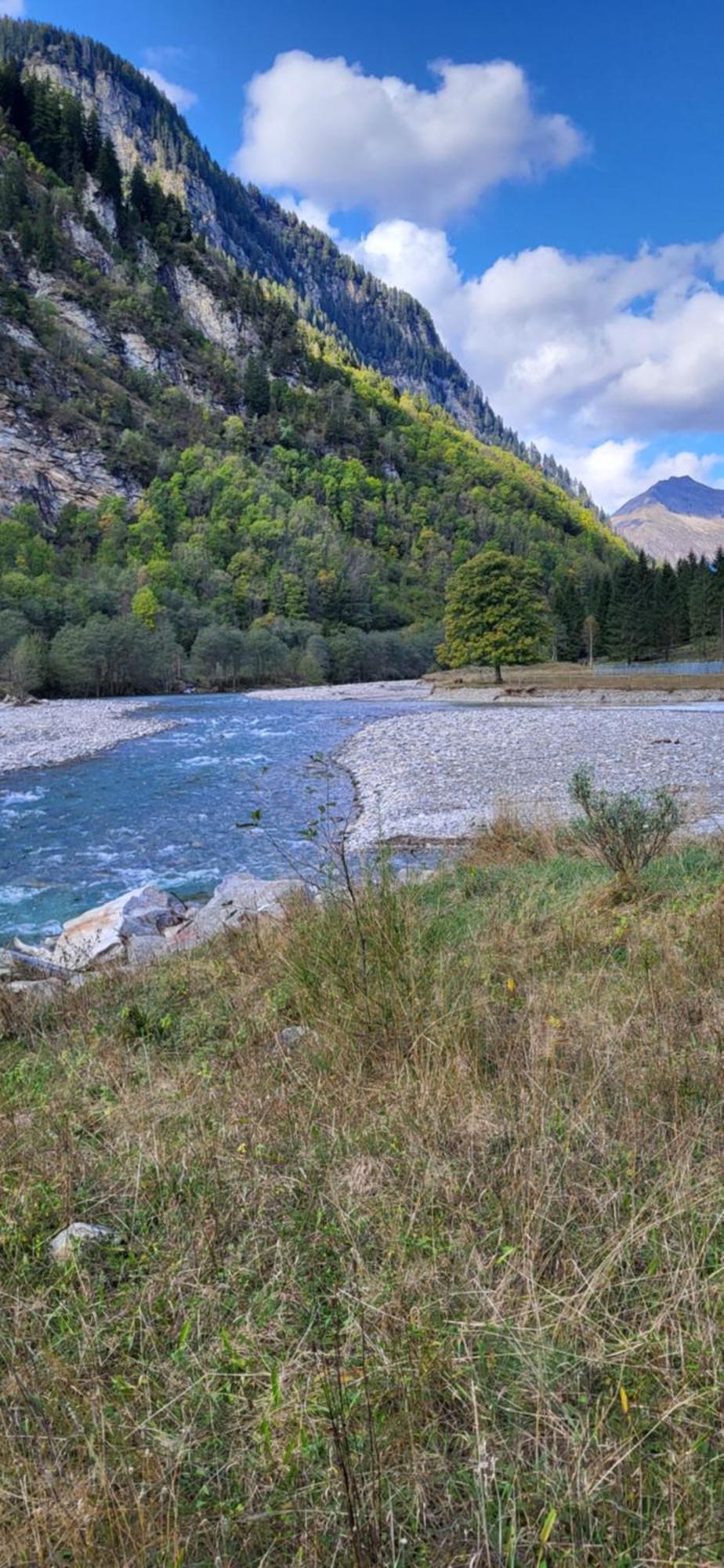 Casa Oliver, Tra La Calanca E I Castelli Di Bellinzona Grono Dış mekan fotoğraf